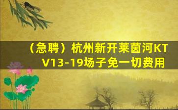 漯河酒吧招聘